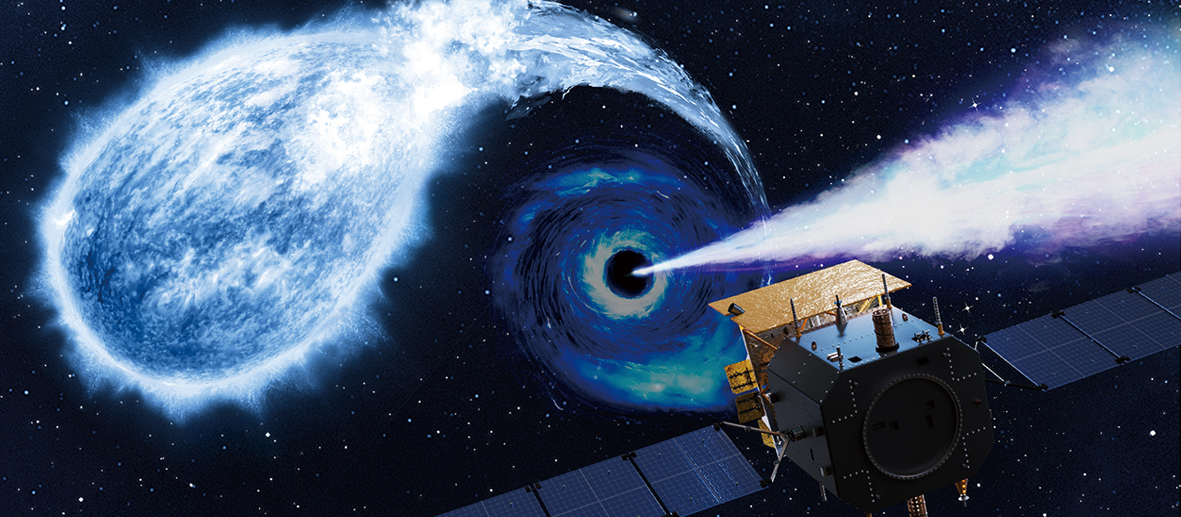 Likely First Capture of an Intermediate-mass Black Hole Devouring a White Dwarf