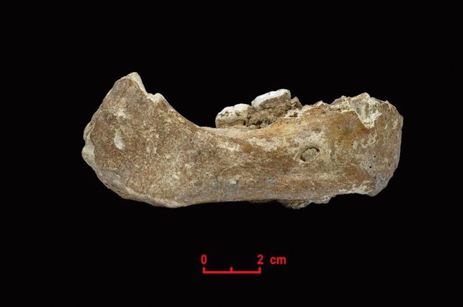 Denisovan from Qinghai-Tibet Plateau