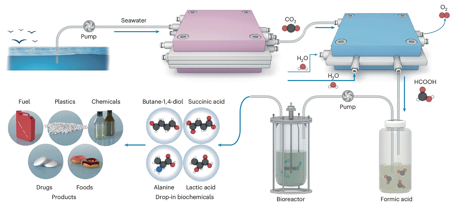 <p>From Seawater to Bioplastic</p>