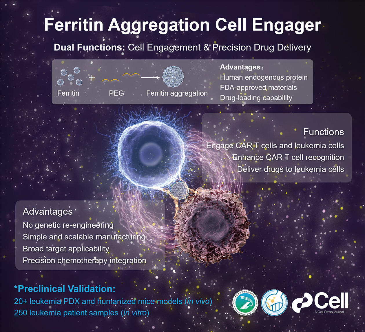 A Molecular Bridge for Leukemia