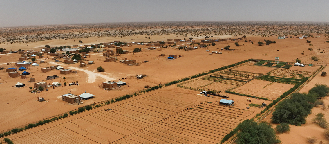 Greening the Edge of the&nbsp;Sahara: China’s Approach to the African Great Green Wall