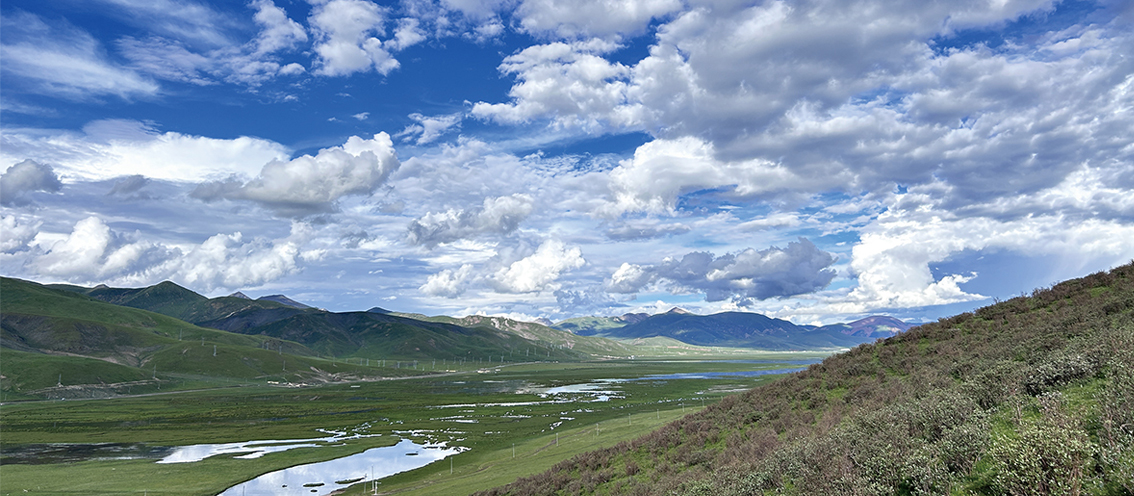 <p>Scaling Up Mainstreaming Biodiversity through National Park Reforms in China</p>