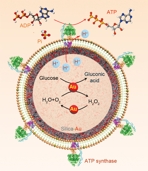 Artificial Biohybrid Nanosystem for ATP Production