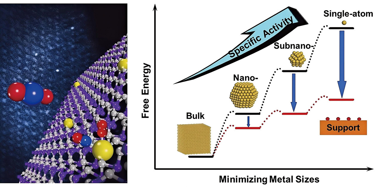 Taking Catalysis to the Atomic Limit: The Rise of Single-Atom Catalysis