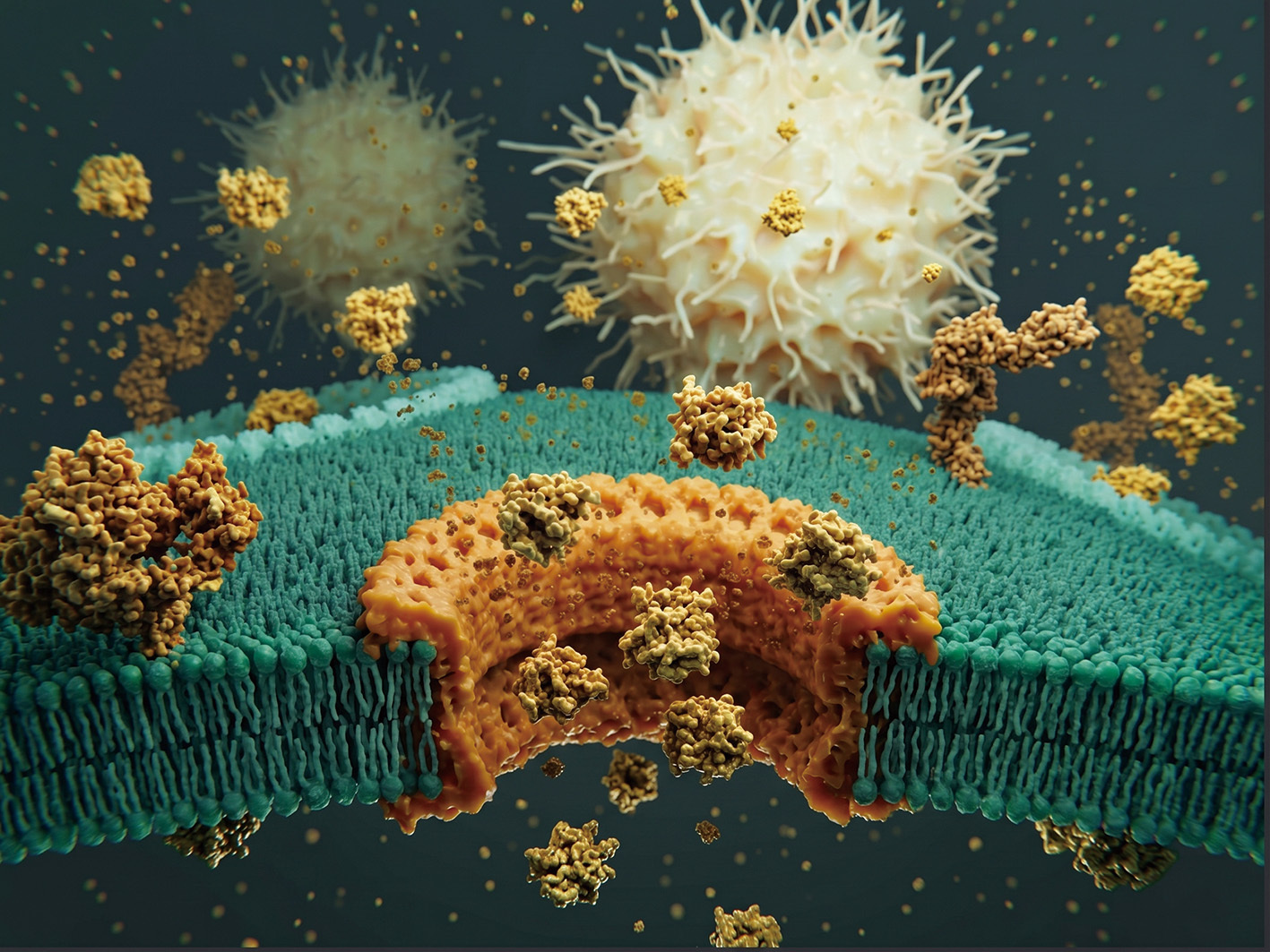 Decoding the Fiery Sacrifices within Offers a Promising Treatment for Life-threatening Conditions Like Sepsis