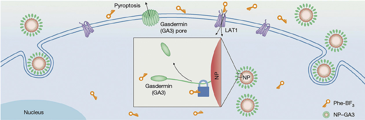 Rewriting the Rules of Cancer Therapy Using Radioactivity-Driven Chemistry